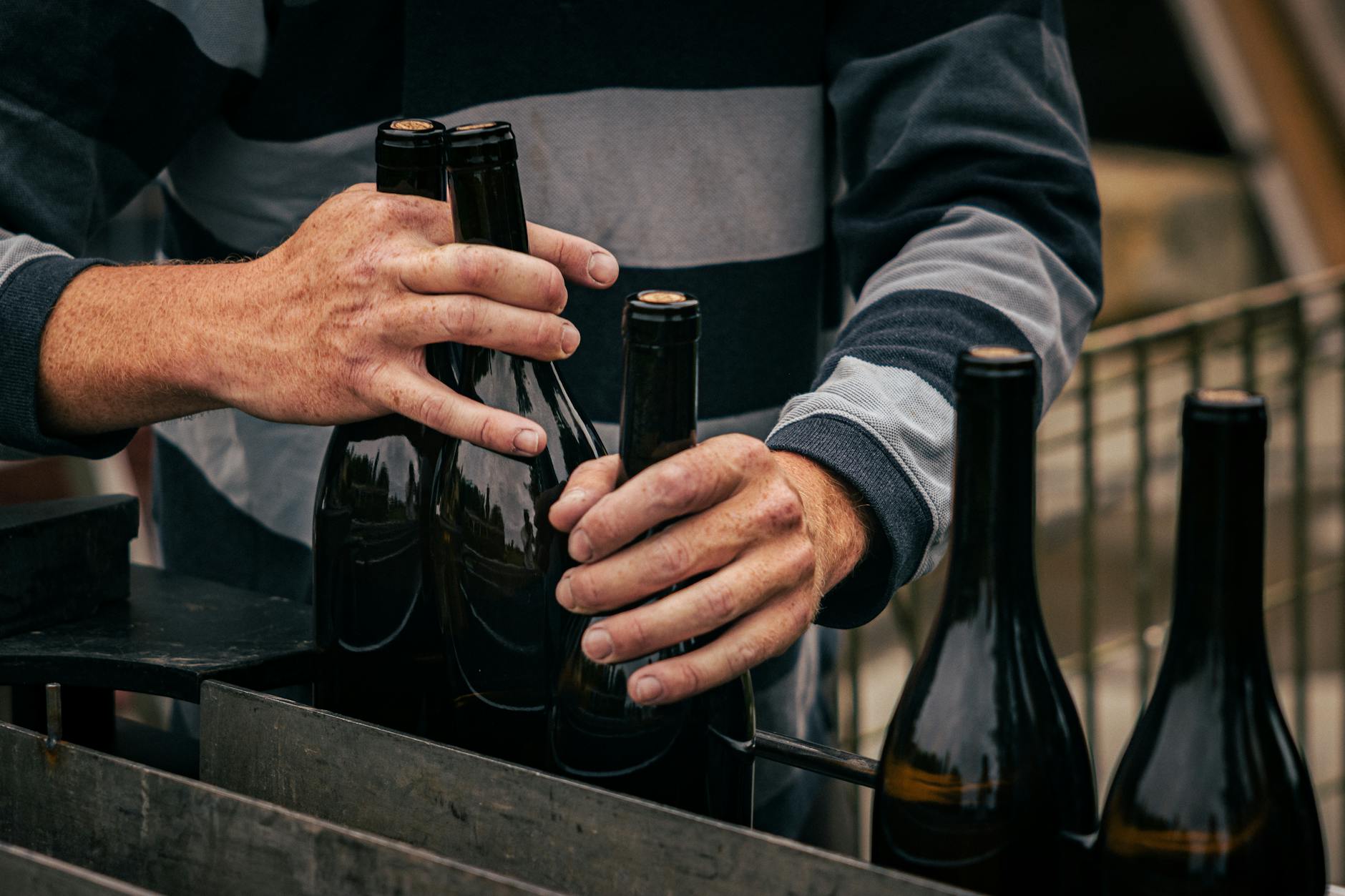 Aziende agricole: guida pratica tra cantina, lavoro e identità visiva